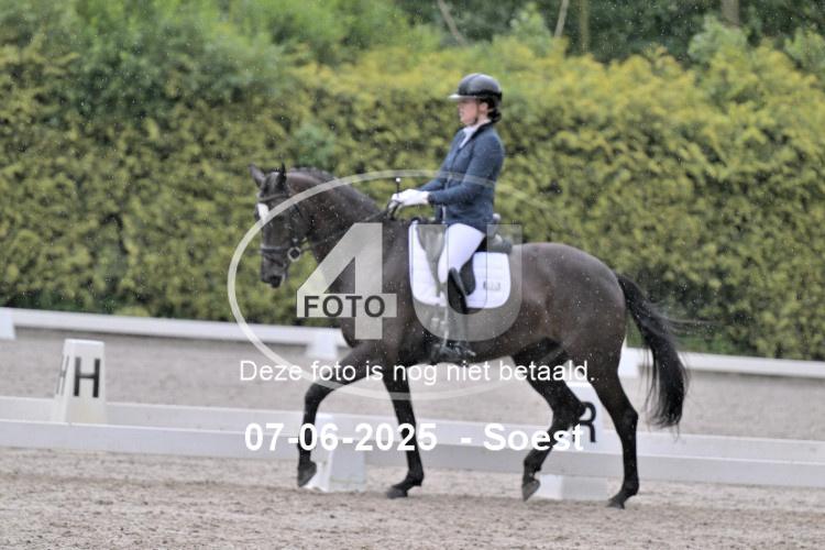 ZZL 9047