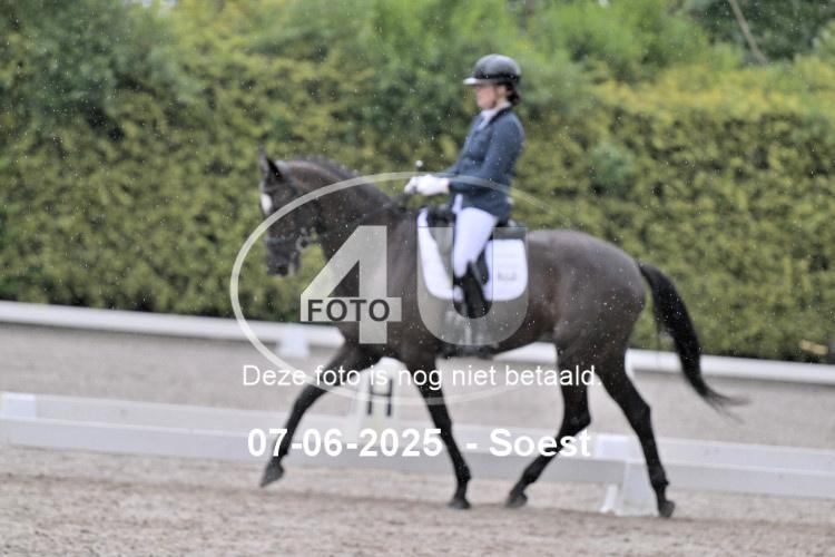 ZZL 9048