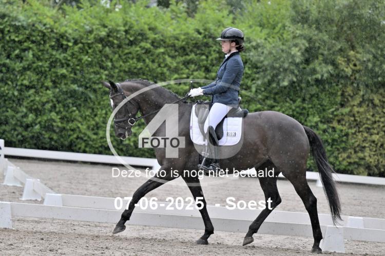 ZZL 9049