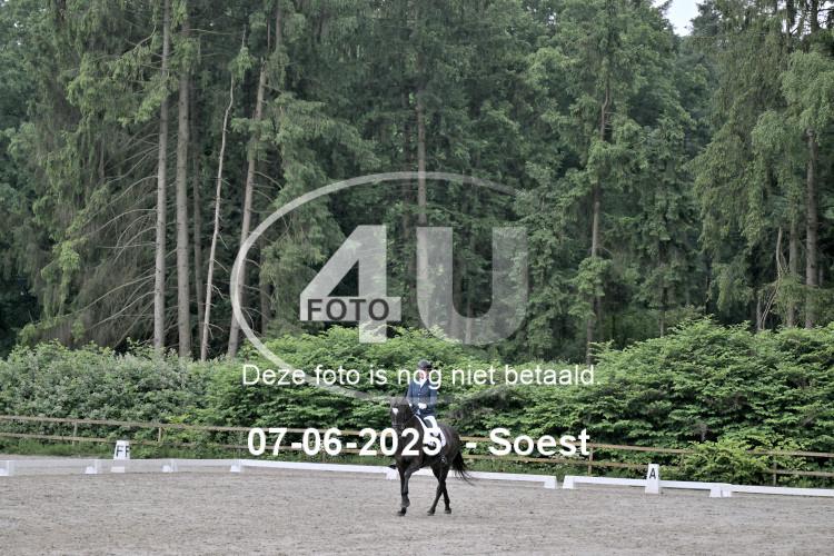 ZZL 9051