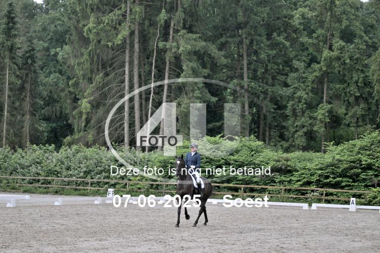 ZZL 9052