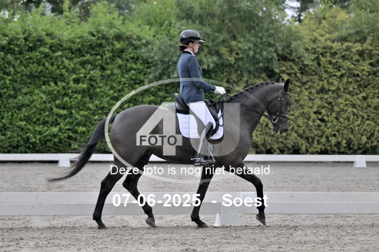ZZL 9058