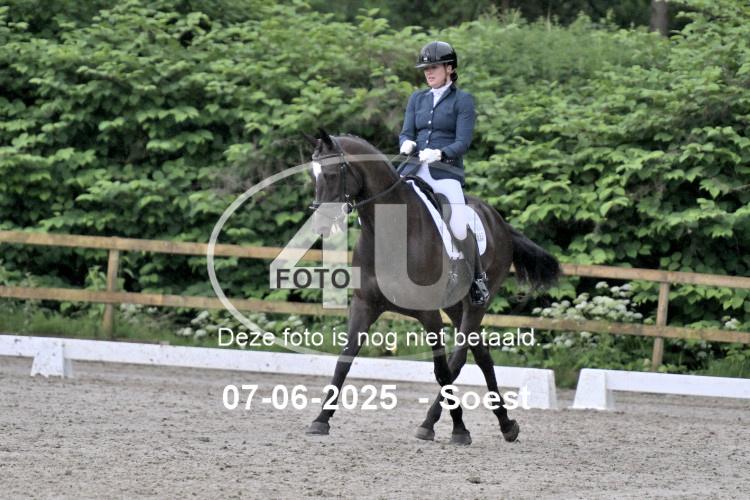 ZZL 9061