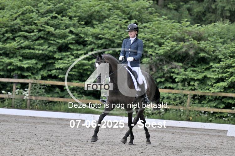 ZZL 9062