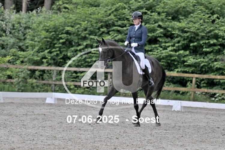 ZZL 9063