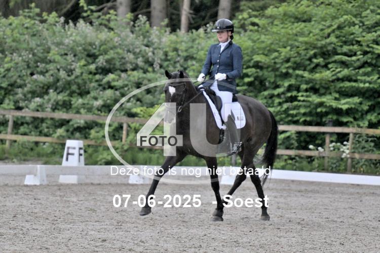 ZZL 9065