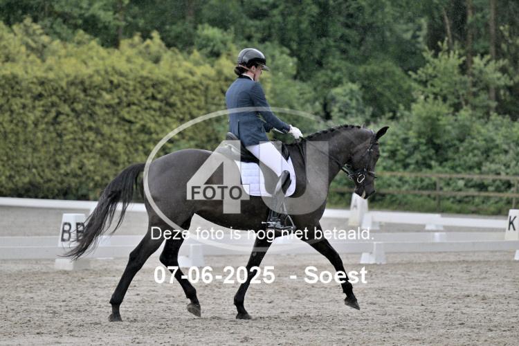 ZZL 9077