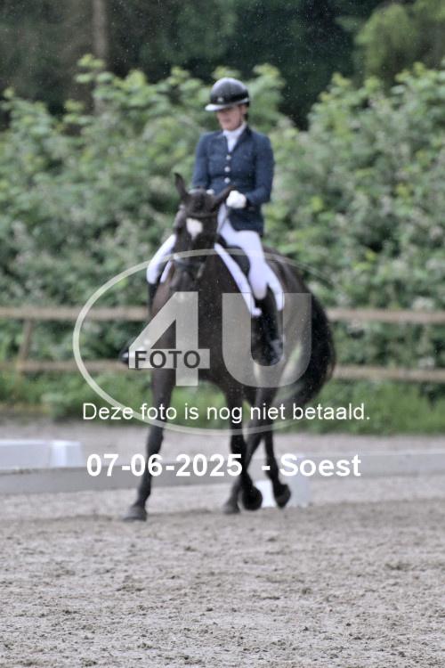 ZZL 9089