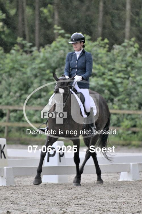ZZL 9090