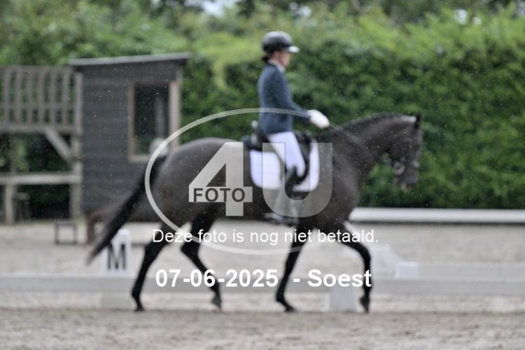 ZZL 9093