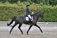 ZZL 8928