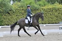 ZZL 8952