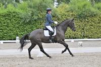 ZZL 8964