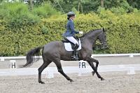 ZZL 8965