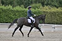 ZZL 9076
