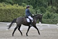 ZZL 9077