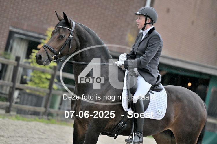 ZZL 9103