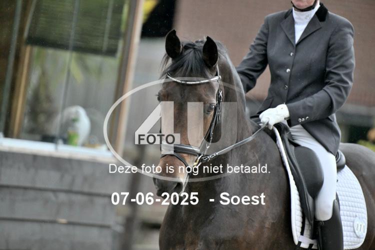 ZZL 9106