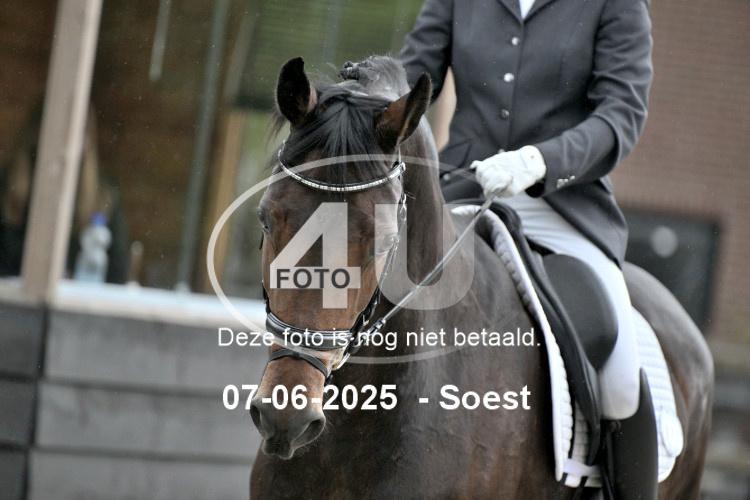 ZZL 9108