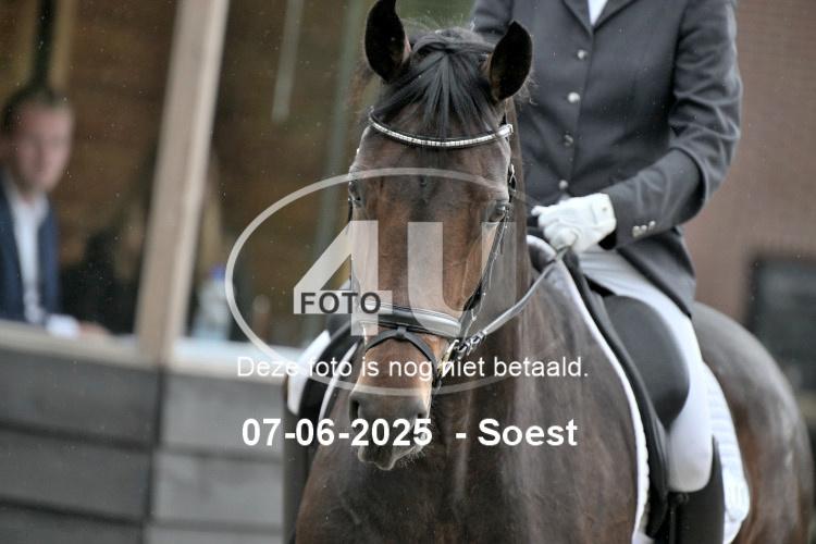 ZZL 9109