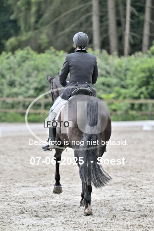 ZZL 9120