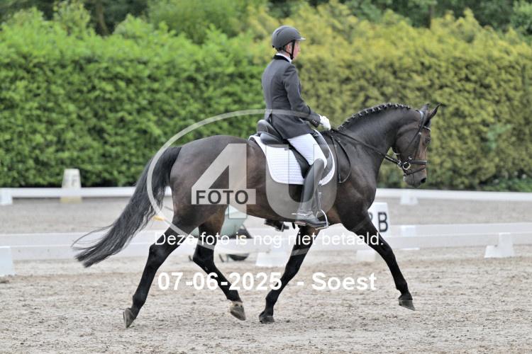 ZZL 9141