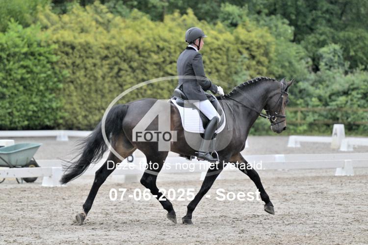ZZL 9142