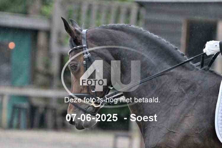 ZZL 9149