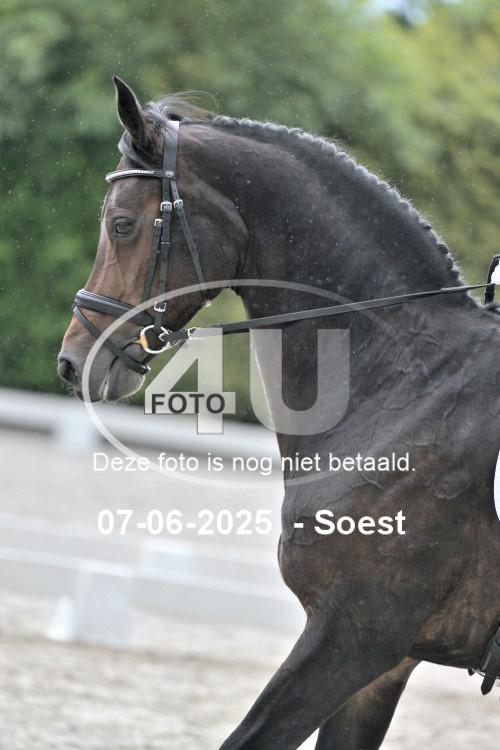 ZZL 9163