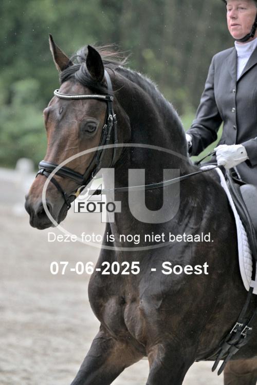 ZZL 9168
