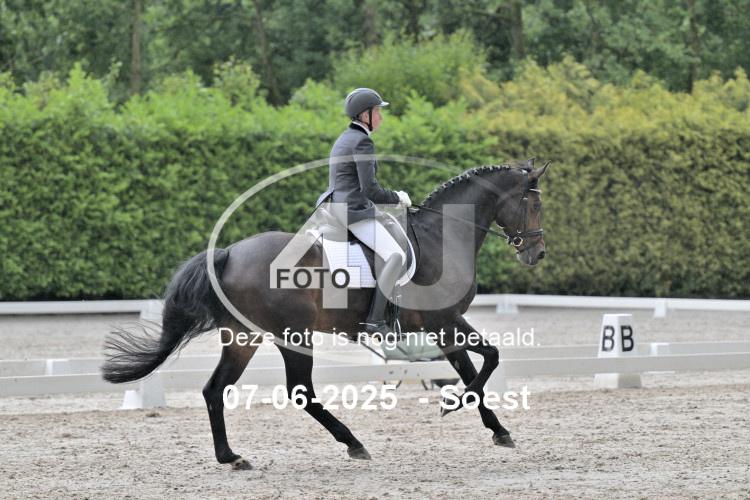 ZZL 9174