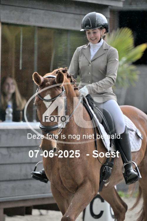 ZZL 9184