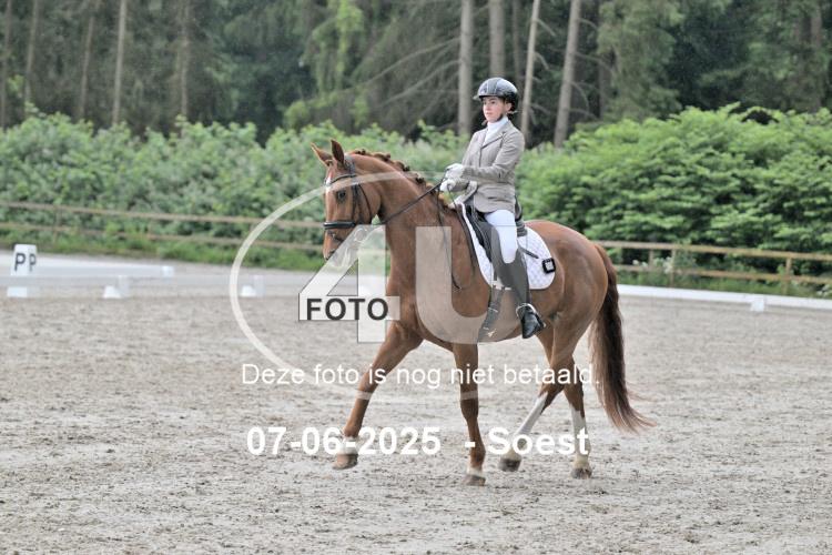 ZZL 9201