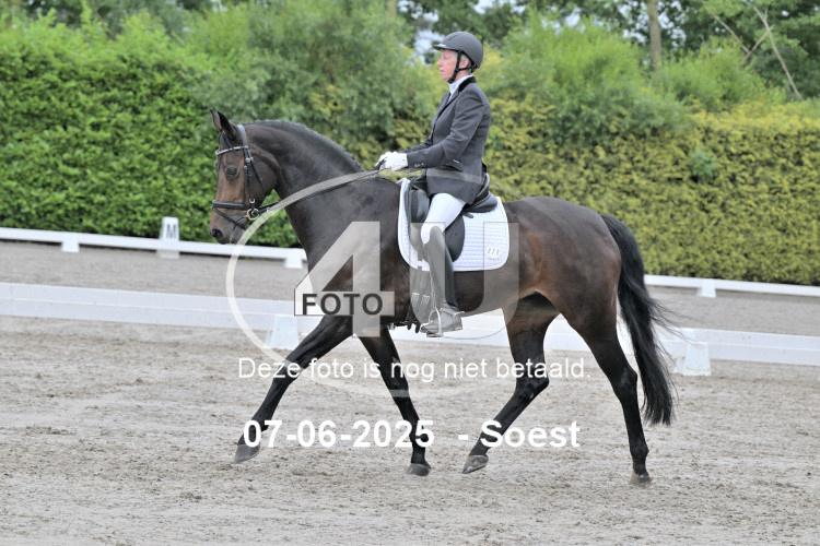 ZZL 9266