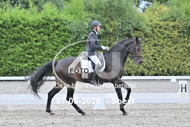 ZZL 9278