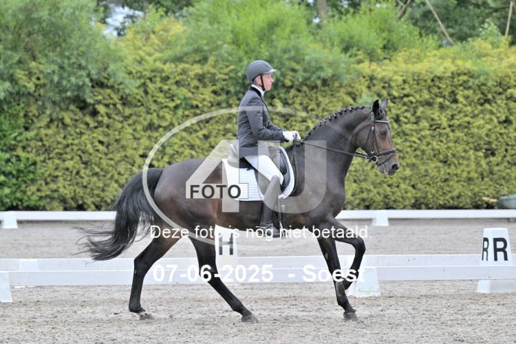 ZZL 9279
