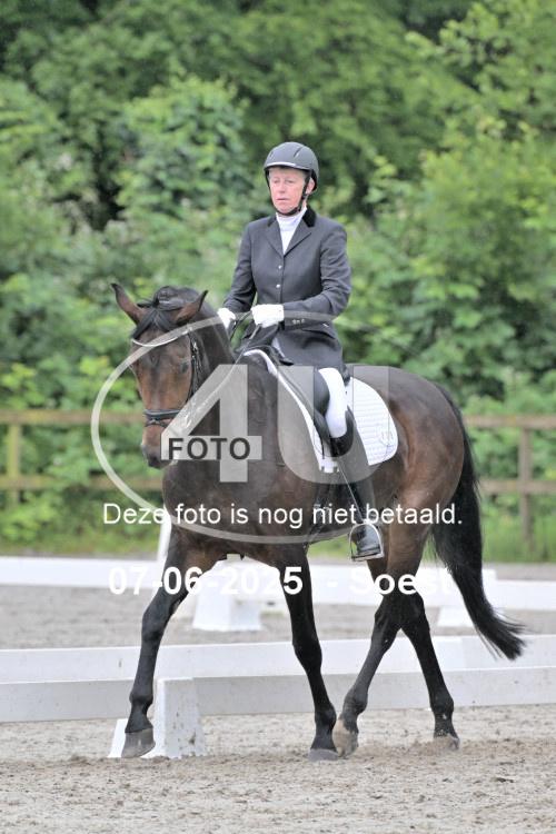 ZZL 9286