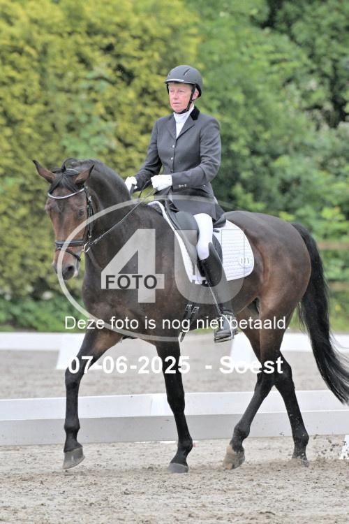ZZL 9287