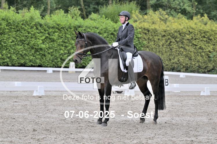 ZZL 9288