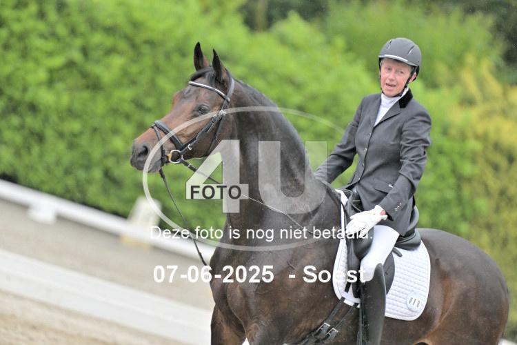 ZZL 9294