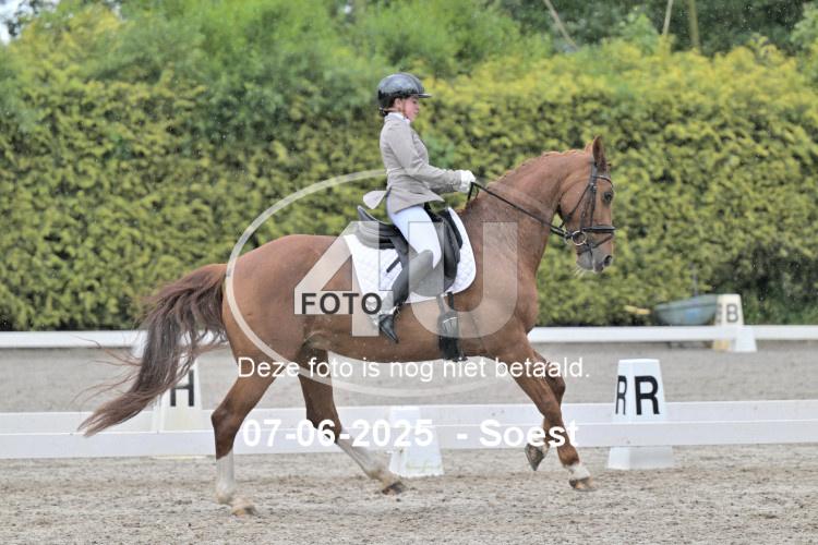 ZZL 9329