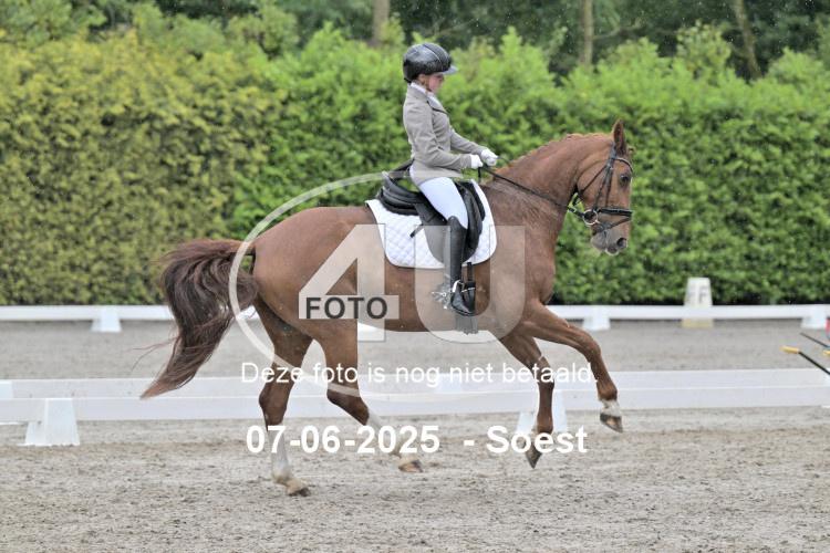 ZZL 9331