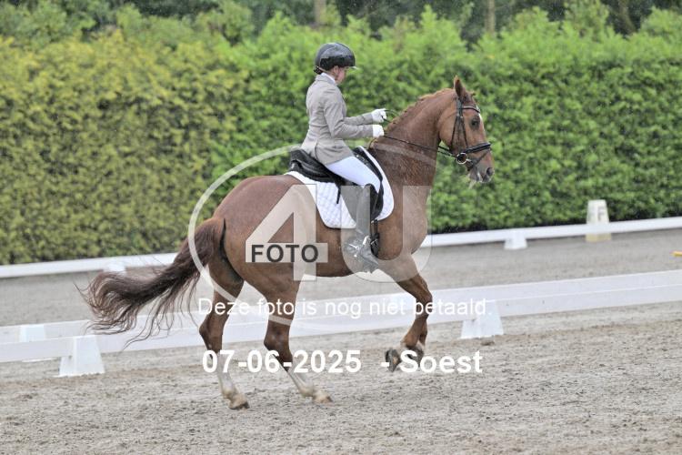 ZZL 9335