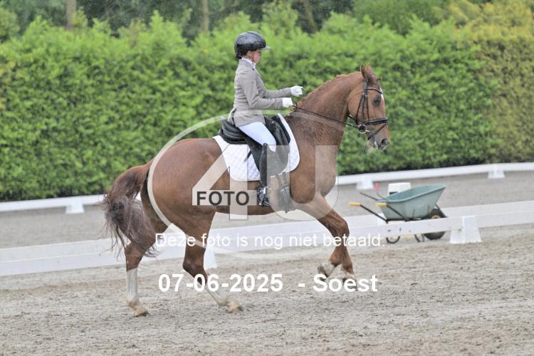 ZZL 9336