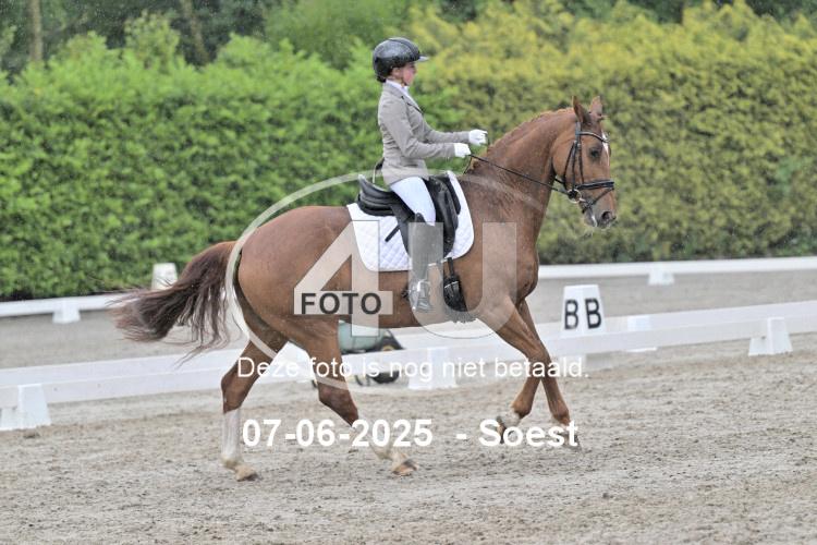ZZL 9337