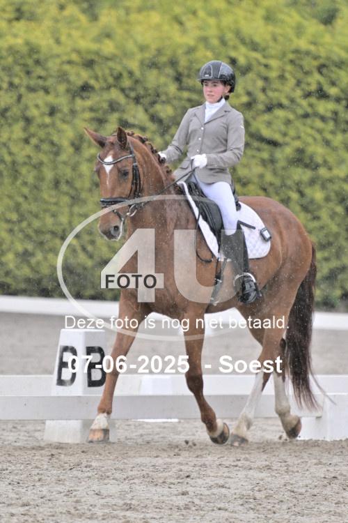 ZZL 9341
