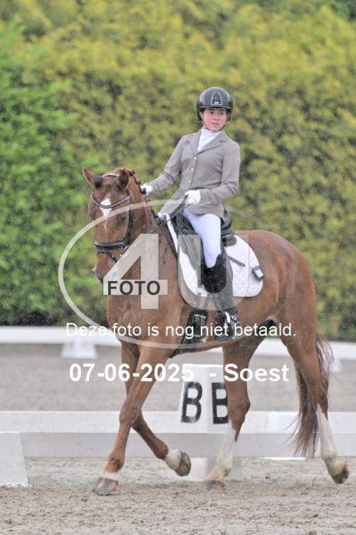 ZZL 9342