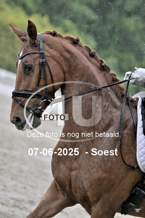 ZZL 9343