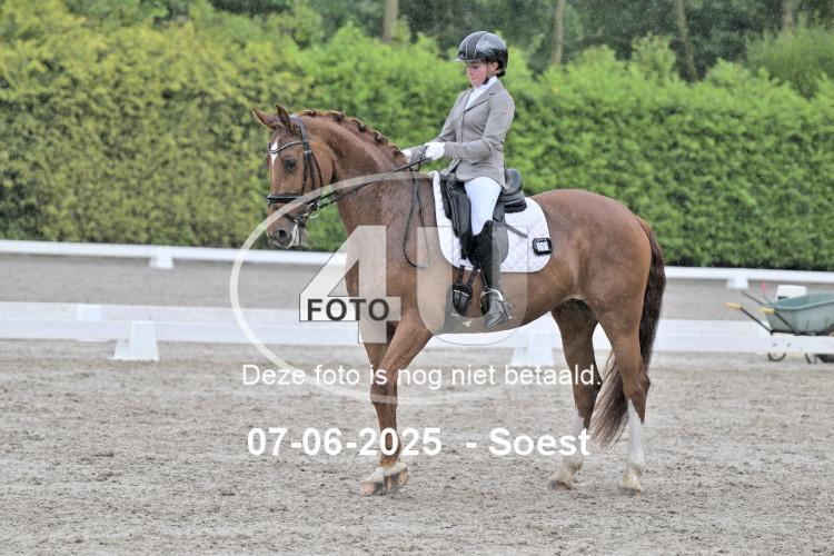 ZZL 9349
