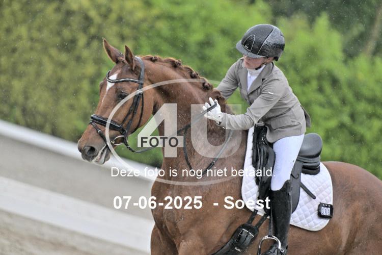 ZZL 9352